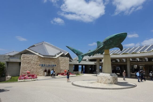 年最新 沖縄美ら海水族館の割引券はこれ コンビニや道の駅より安い料金でクーポンチケットを購入する方法 子育てイルカが笛を吹く