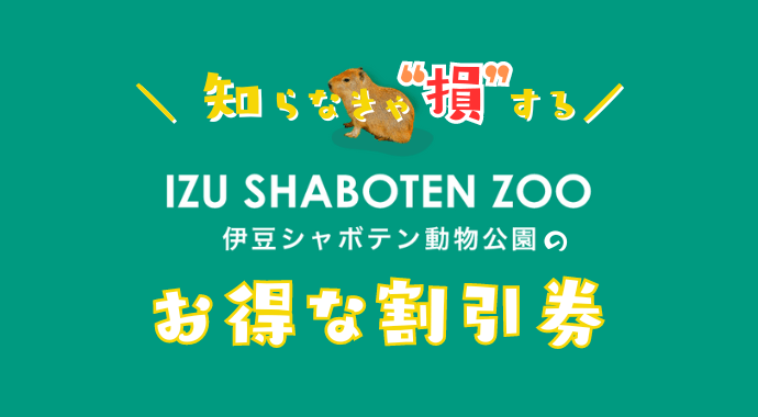 シャボテン公園の割引券