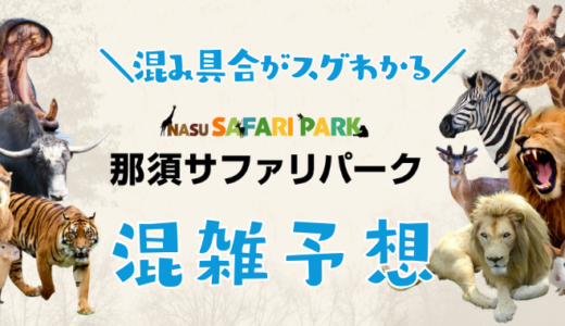 【2024年10月11月】那須サファリパークの混雑予想｜空いてる時間帯やリアルタイムの混み具合を知って混雑回避する方法