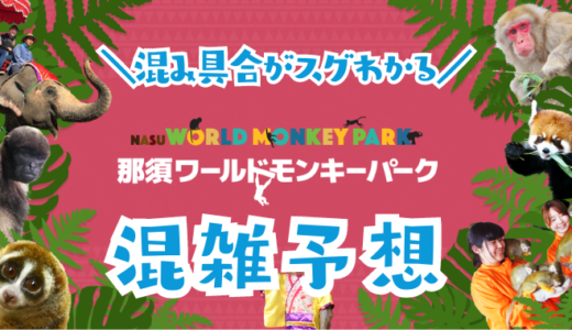 【2024年10月11月】那須ワールドモンキーパークの混雑予想｜空いてる時間帯やリアルタイムの混み具合を知って混雑回避する方法